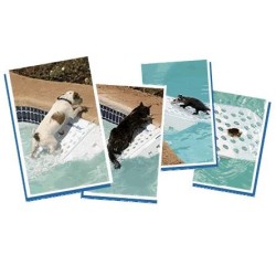 Skamper Ramp zwembad loopplank dieren reddingsplank